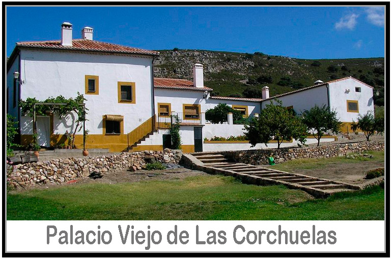 Palacio viejo