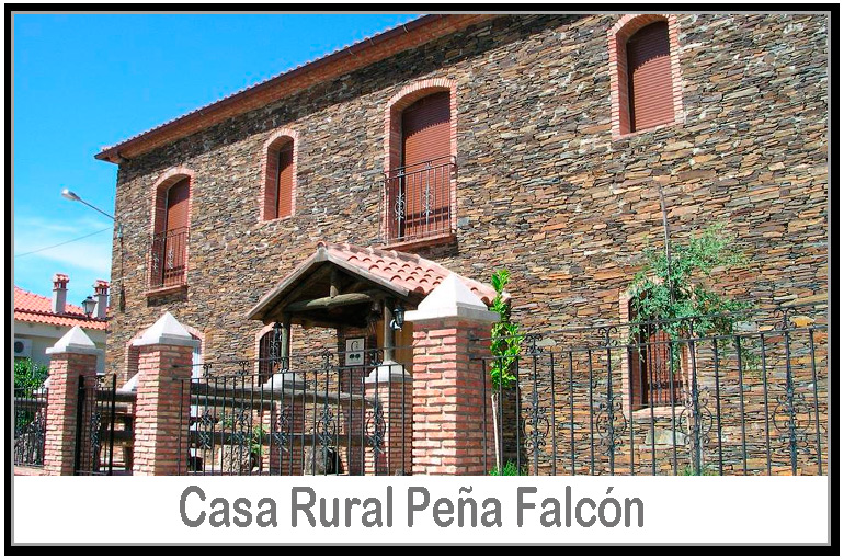 falcon