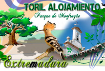 Alojamiento